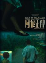 Days Of Being Wild poster