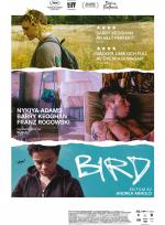 Bird poster