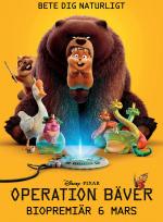 Operation bäver poster