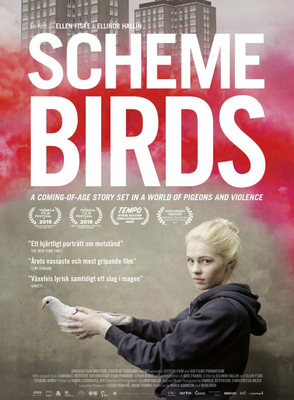 Scheme Birds (Sv. txt) poster