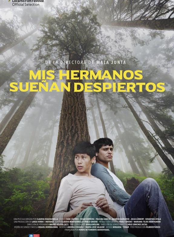 My brothers dream awake poster