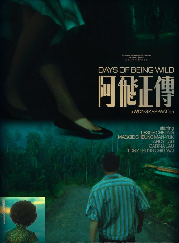 Days Of Being Wild poster