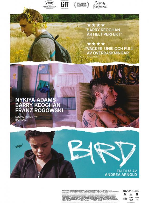 Bird poster