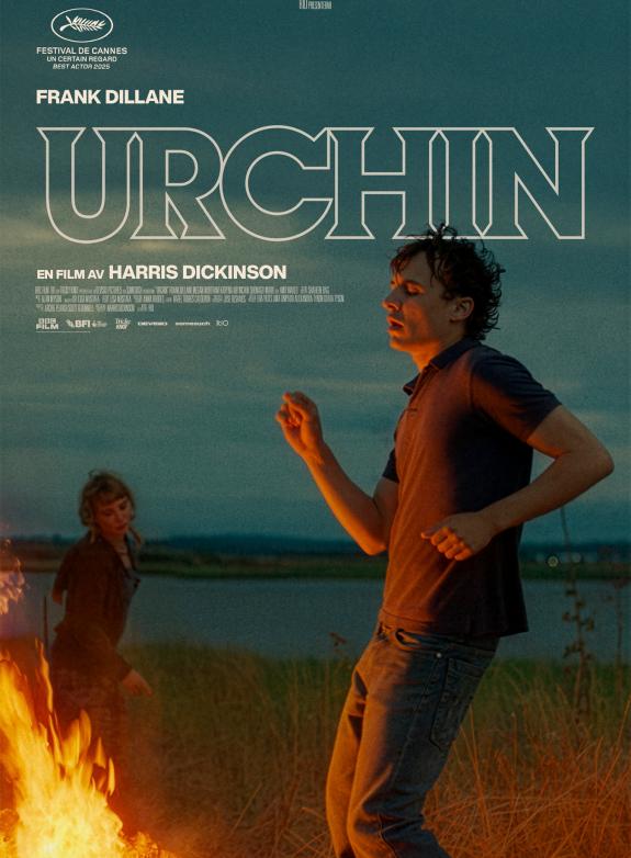 Urchin poster