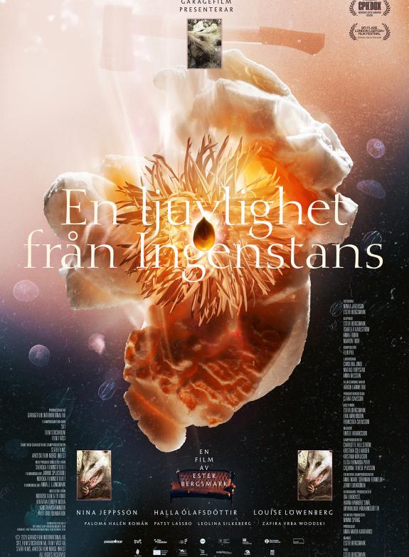 En ljuvlighet från ingenstans poster