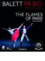 The Flames of Paris poster