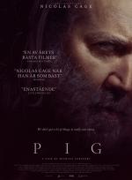 Pig  poster