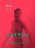 Animal poster