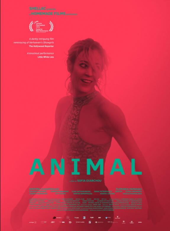 Animal poster