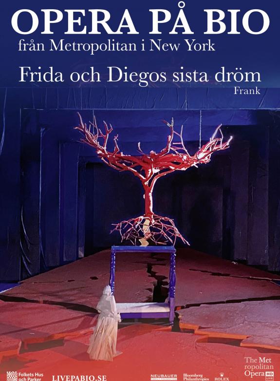Frida och Diegos sista dröm poster