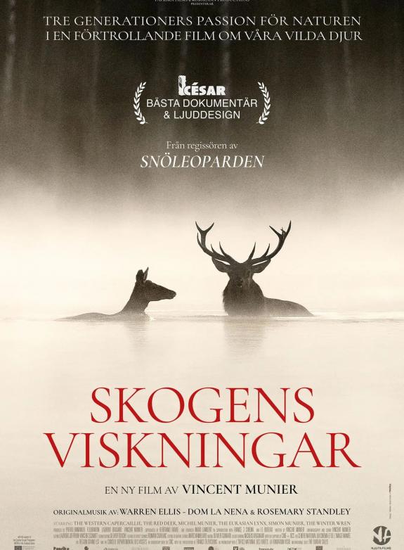 Skogens viskningar poster