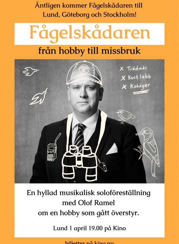 Fågelskådaren - från hobby till missbruk poster