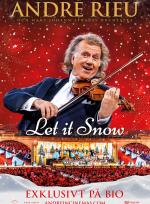 ANDRÉ RIEU’S 2026 CHRISTMAS CONCERT: LET IT SNOW poster