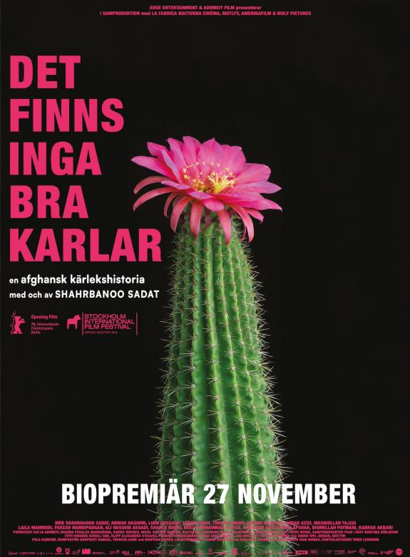 Det finns inga bra karlar poster
