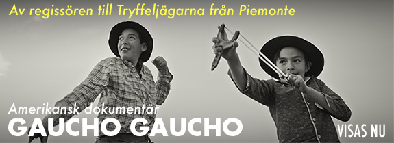 Gaucho v