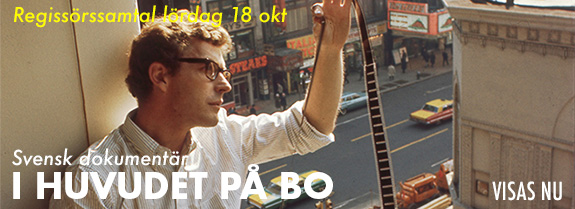 I huvudet på Bo v REGI