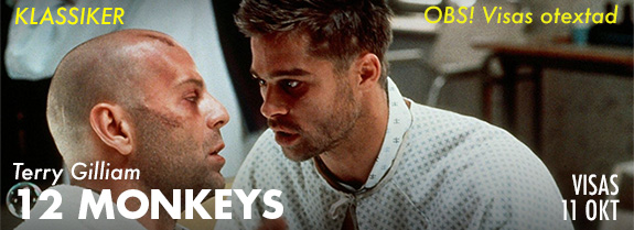 12 monkeys