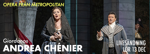 MET Andrea Ch 13 MET Andrea Ch 13