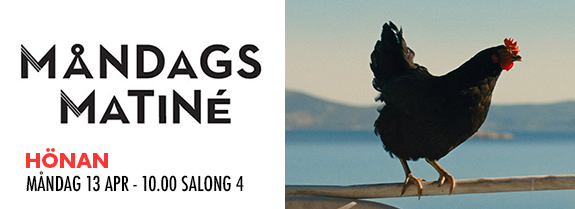 MM 13 Hönan MM 13 Hönan