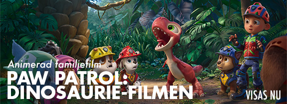 Paw patrol dino v Paw patrol dino v