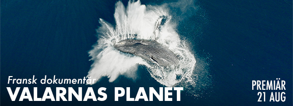 Valarnas planet p Valarnas planet p