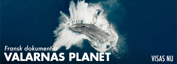 Valarnas planet v Valarnas planet v