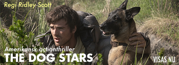 dog stars v