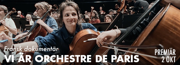 Vi är orchestre p